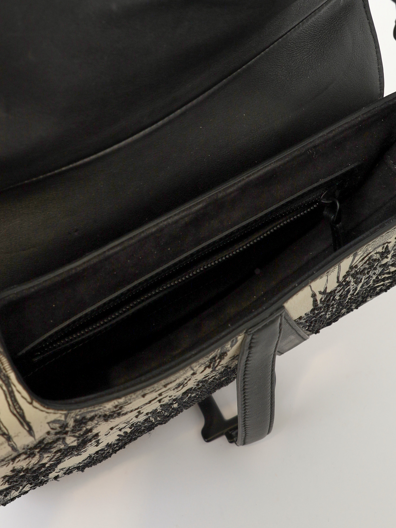 Dior Saddle 9