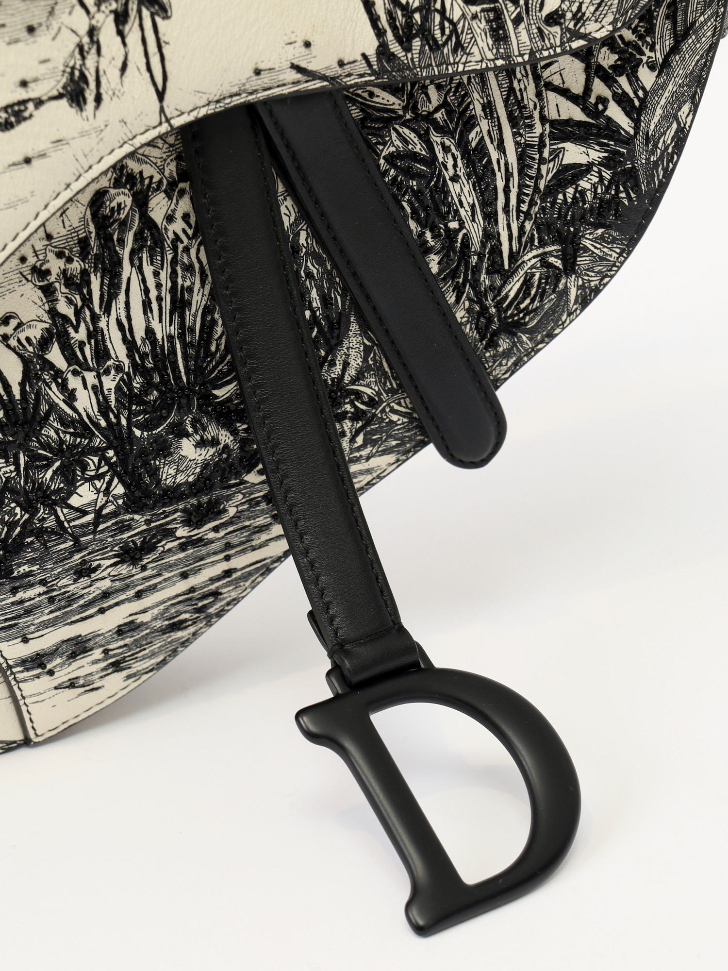 Dior Saddle 4