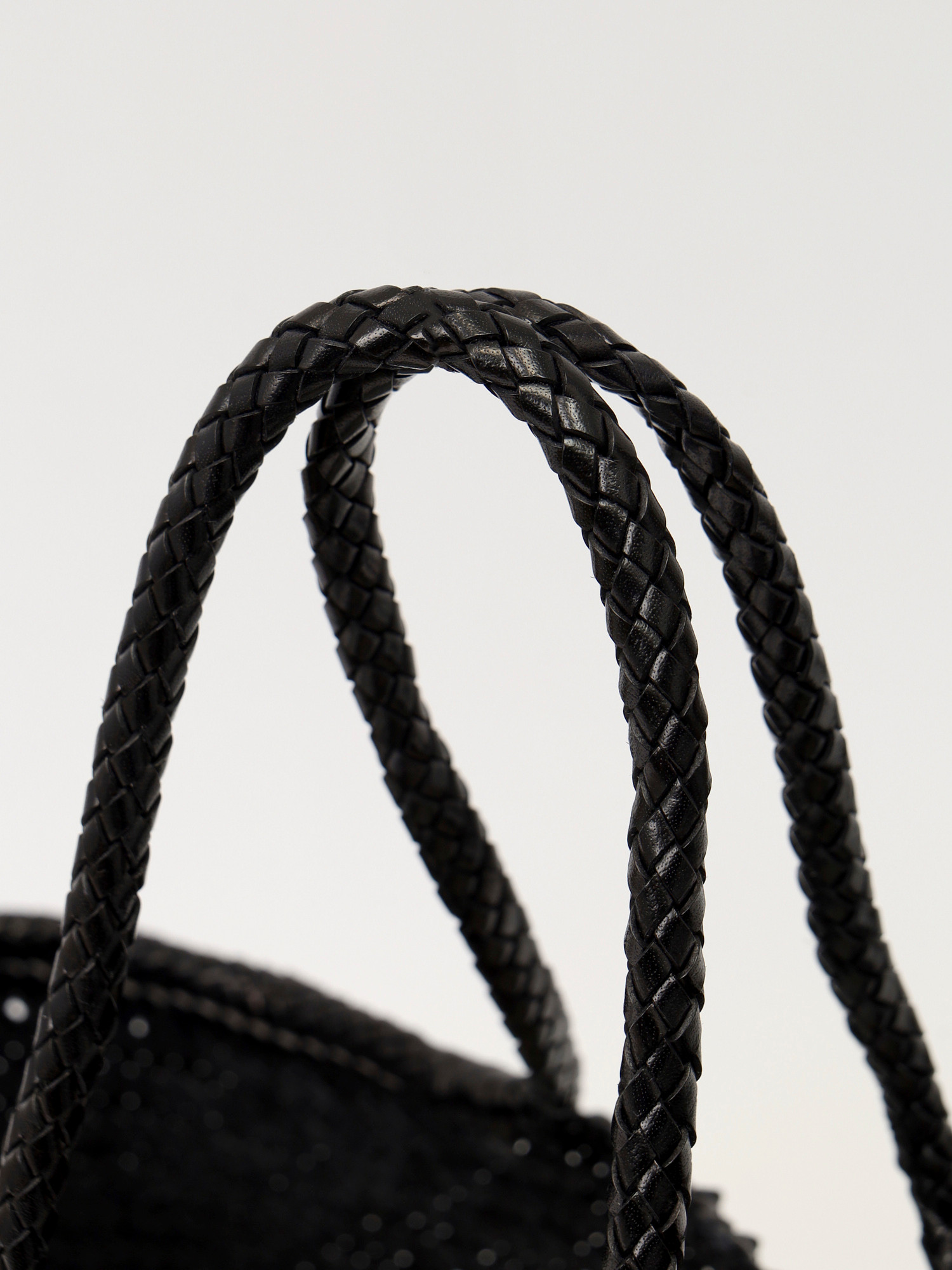 Dragon Diffusion Santa Croce 6