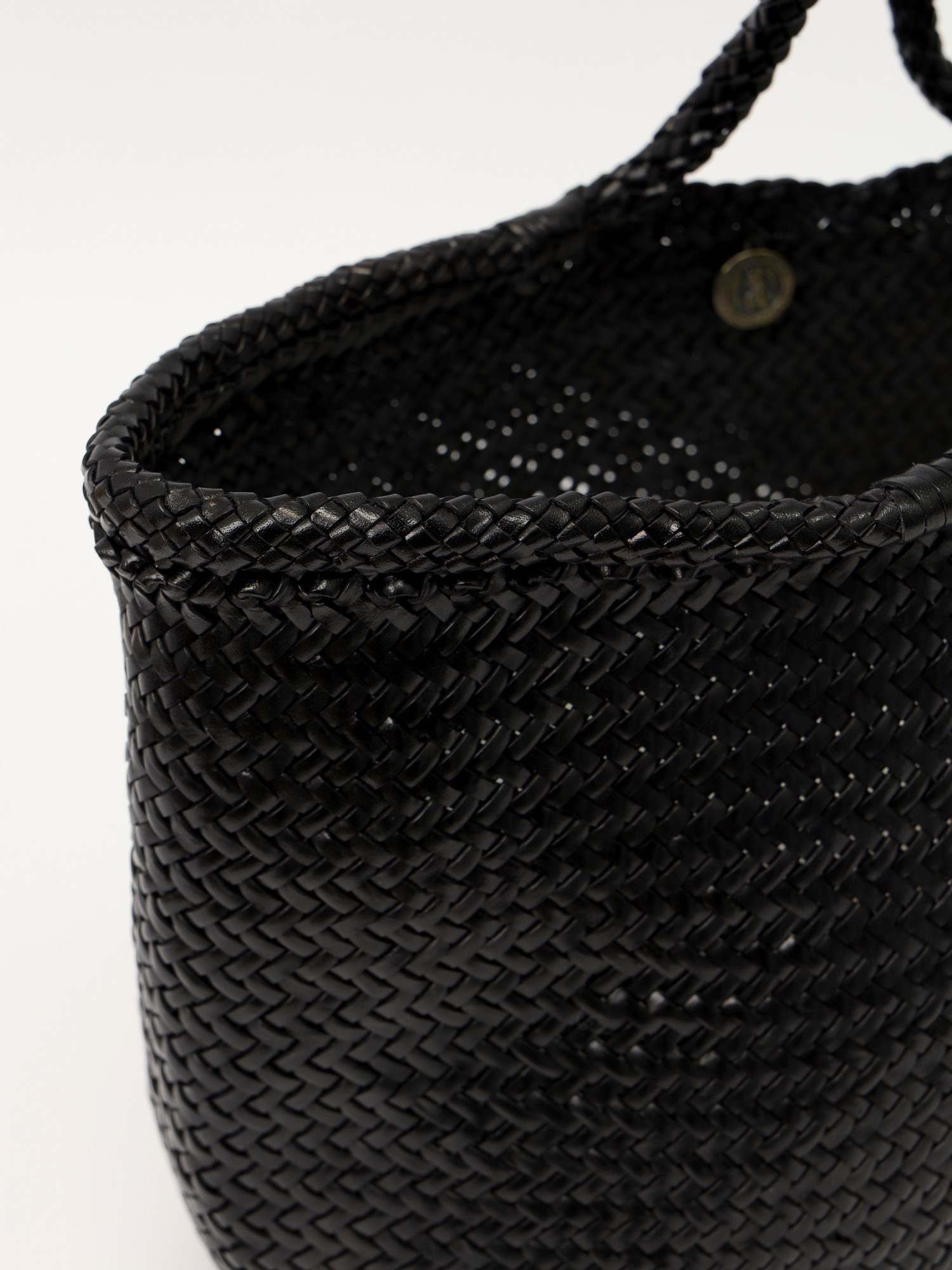 Dragon Diffusion Santa Croce 4