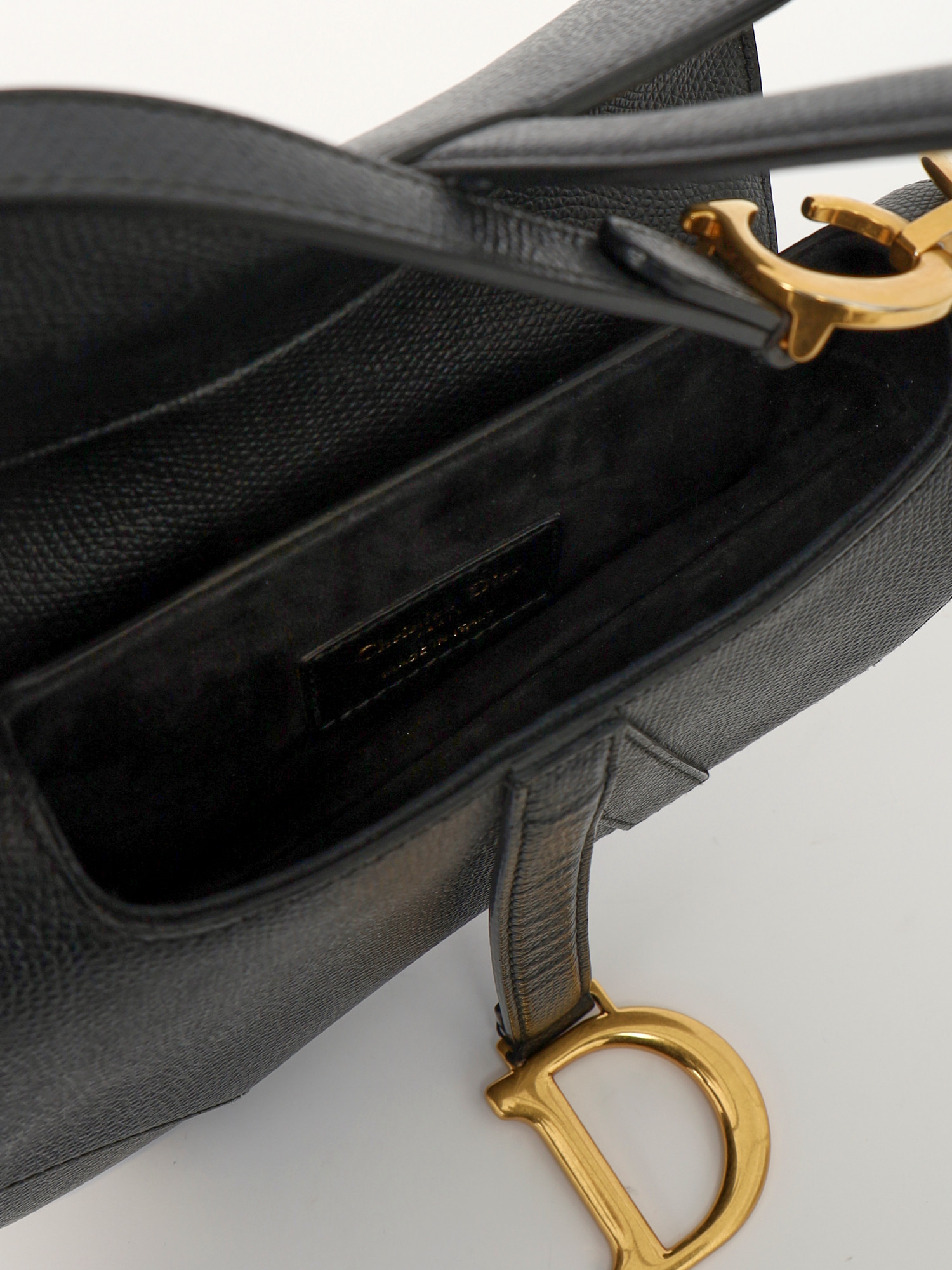 Dior Saddle  10