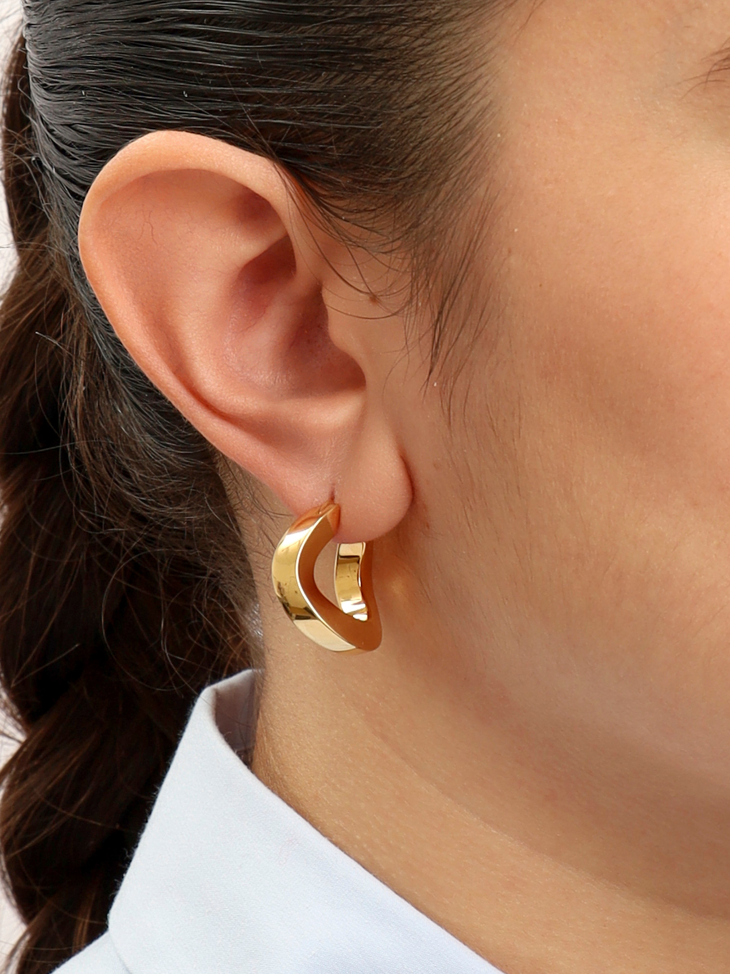 Celine Earrings  1