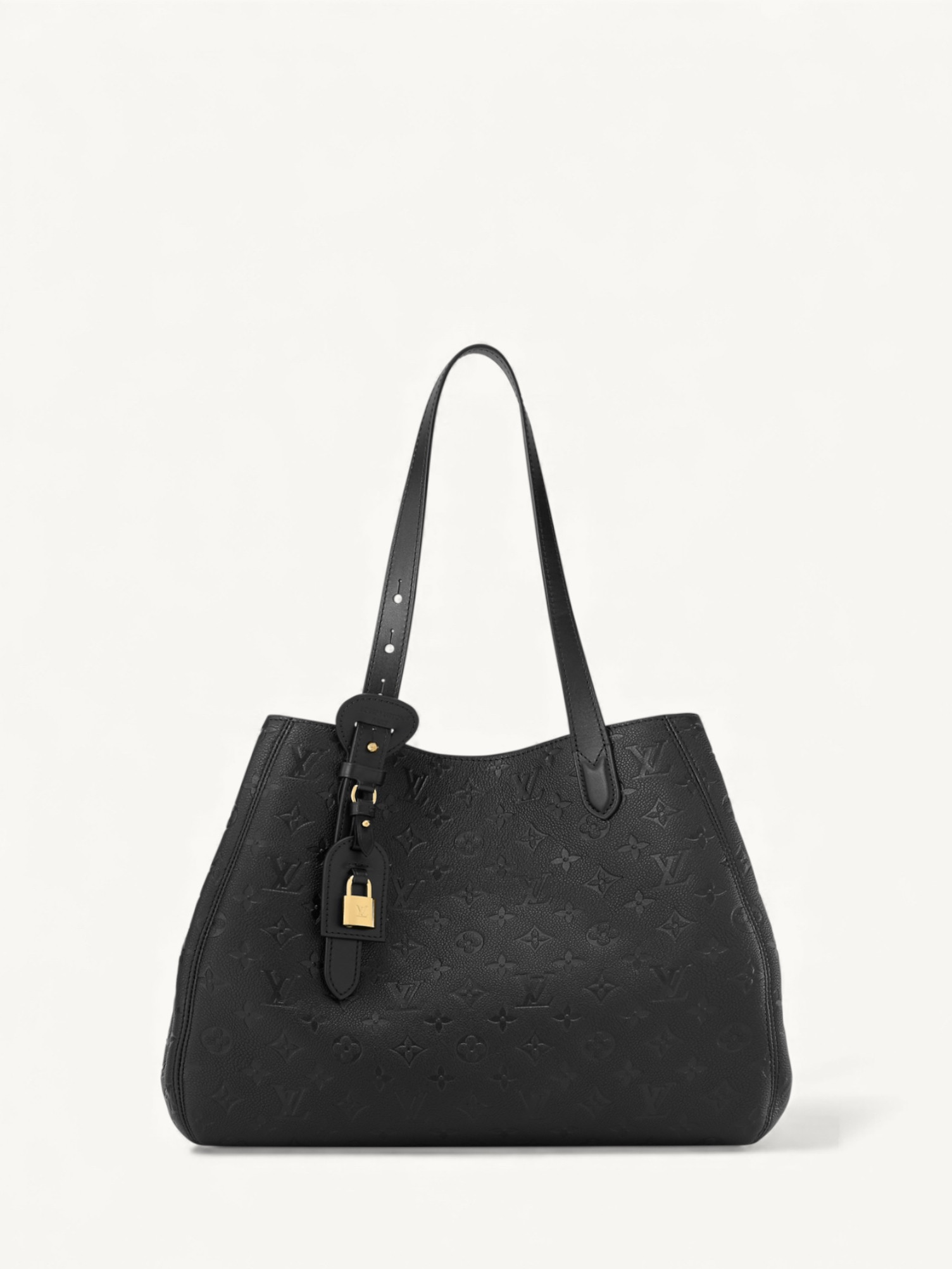 Louis Vuitton All In One  0