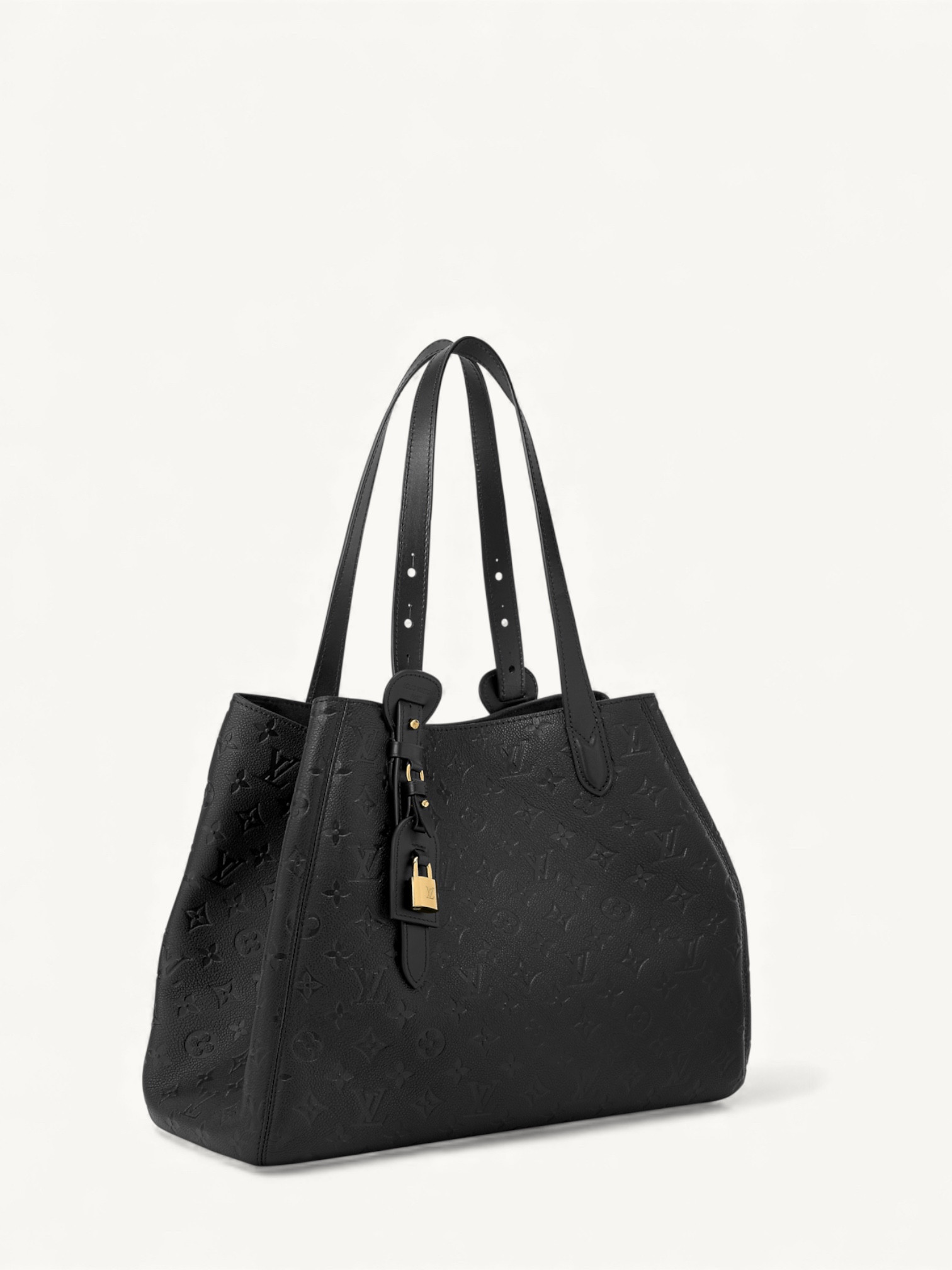 Louis Vuitton All In One  1