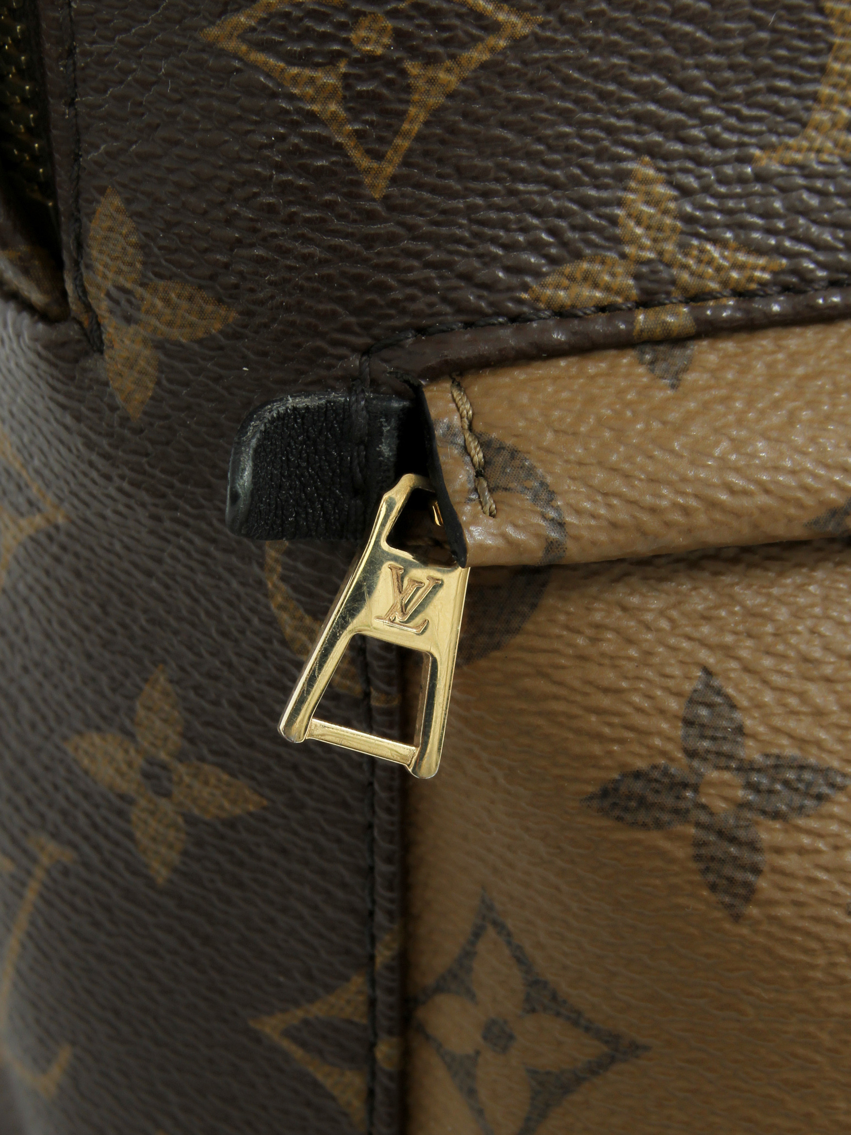 Louis Vuitton Palm Springs 5