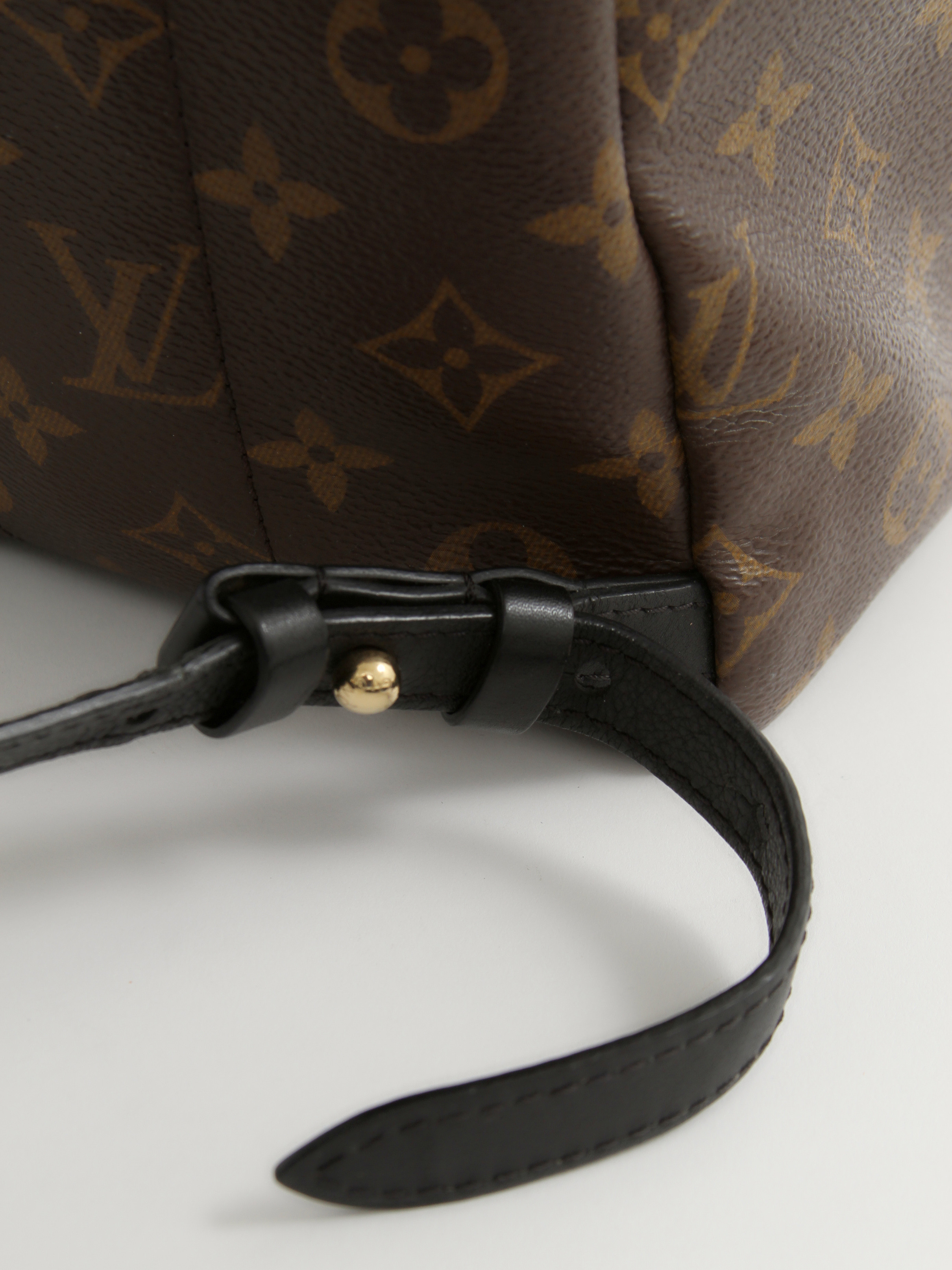 Louis Vuitton Palm Springs 9