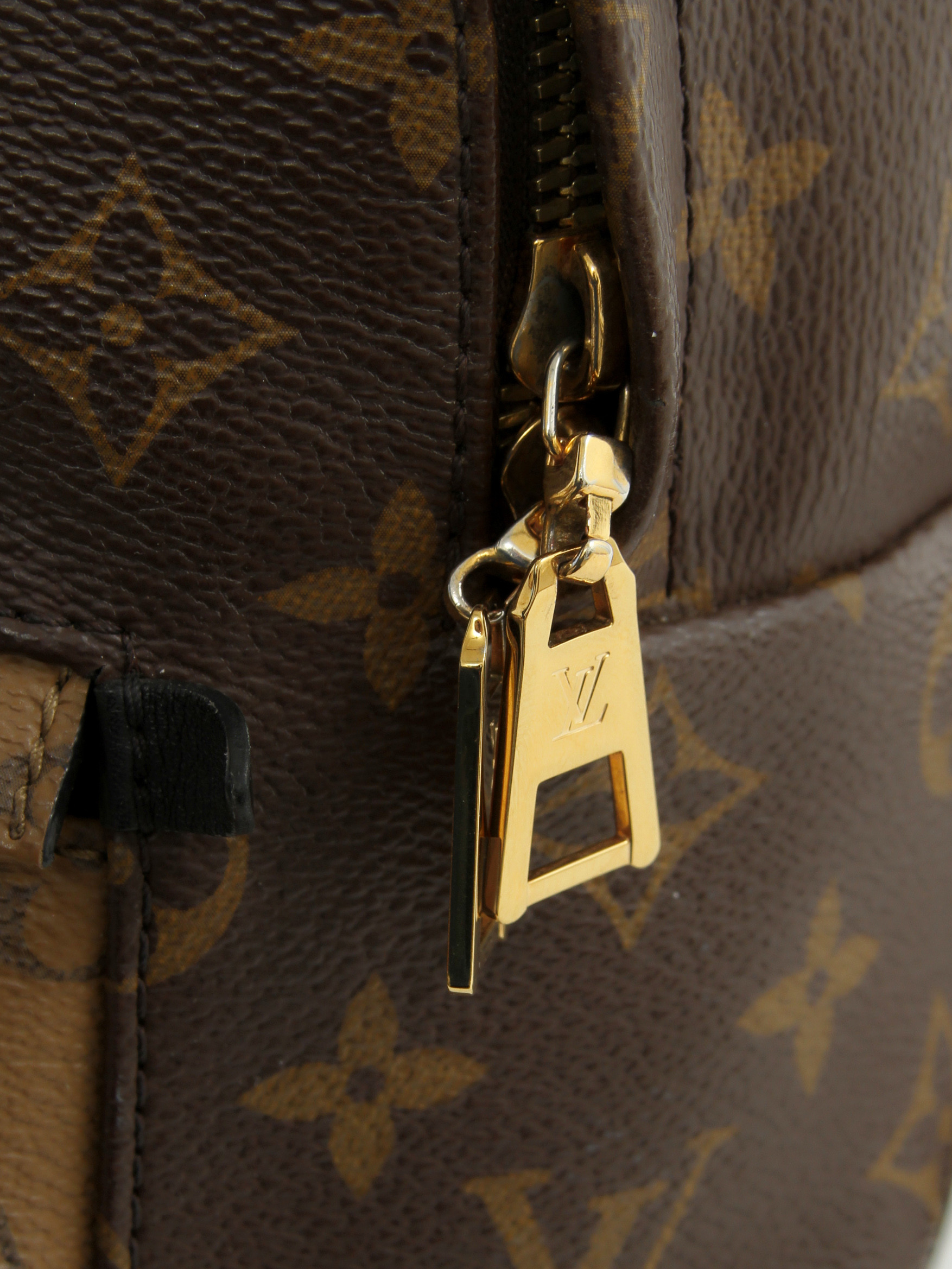 Louis Vuitton Palm Springs 6