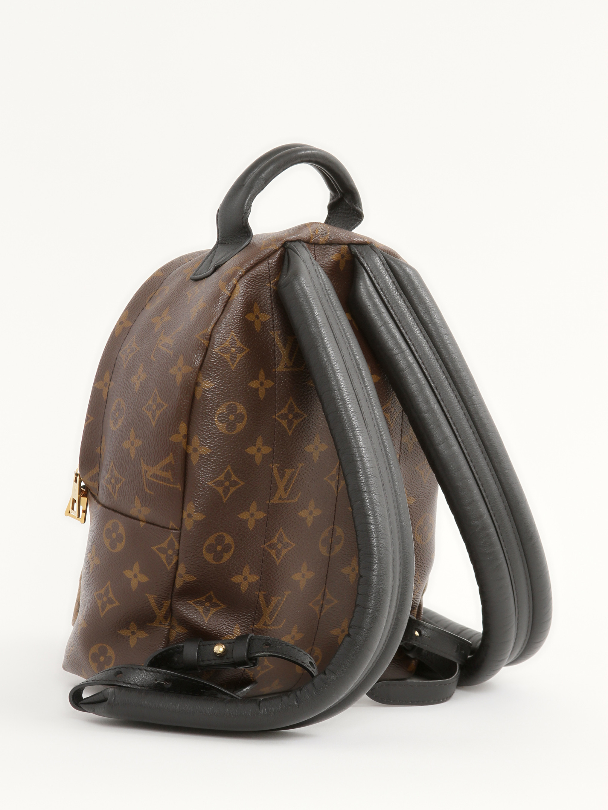 Louis Vuitton Palm Springs 3