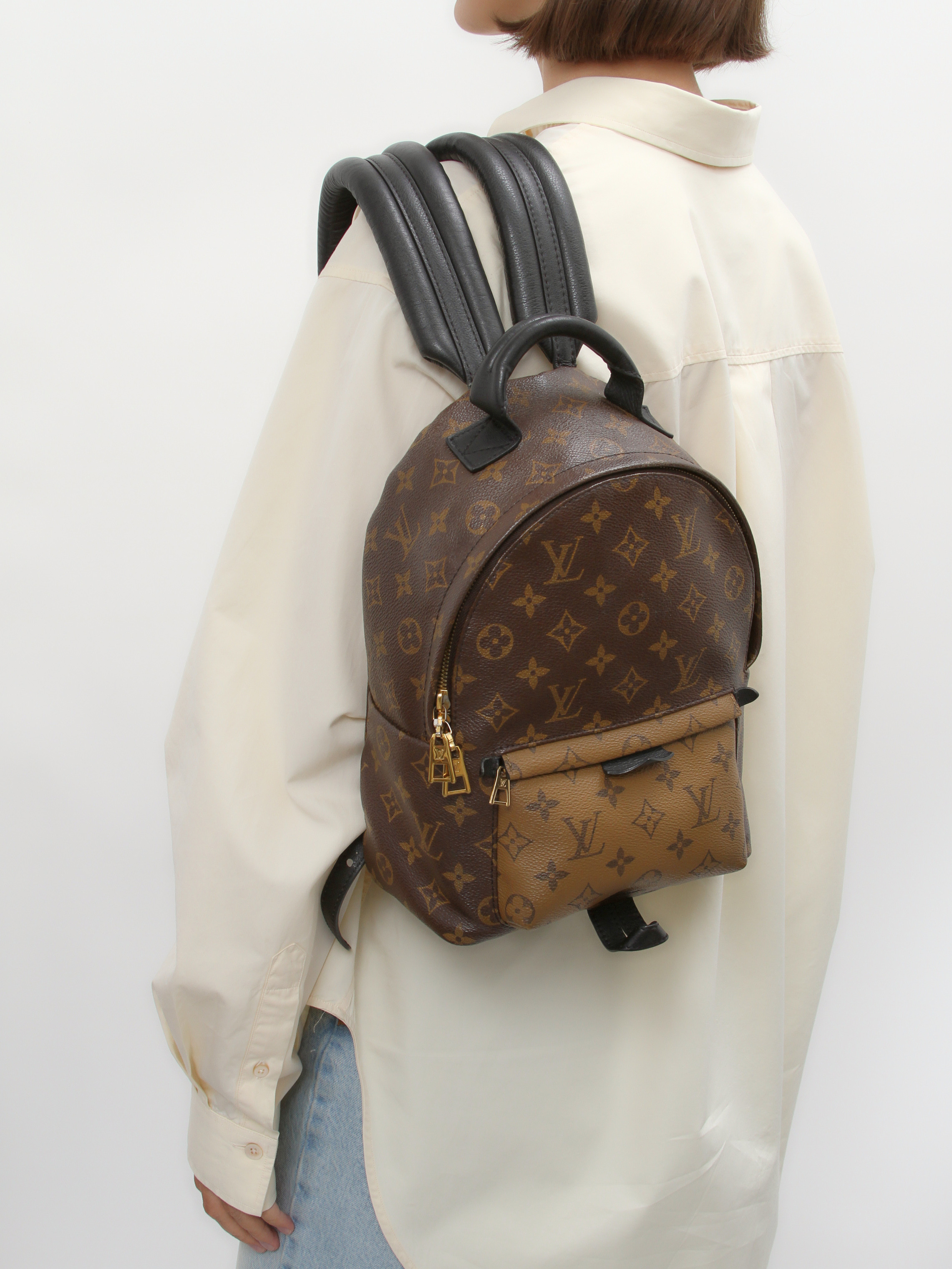 Louis Vuitton Palm Springs 1