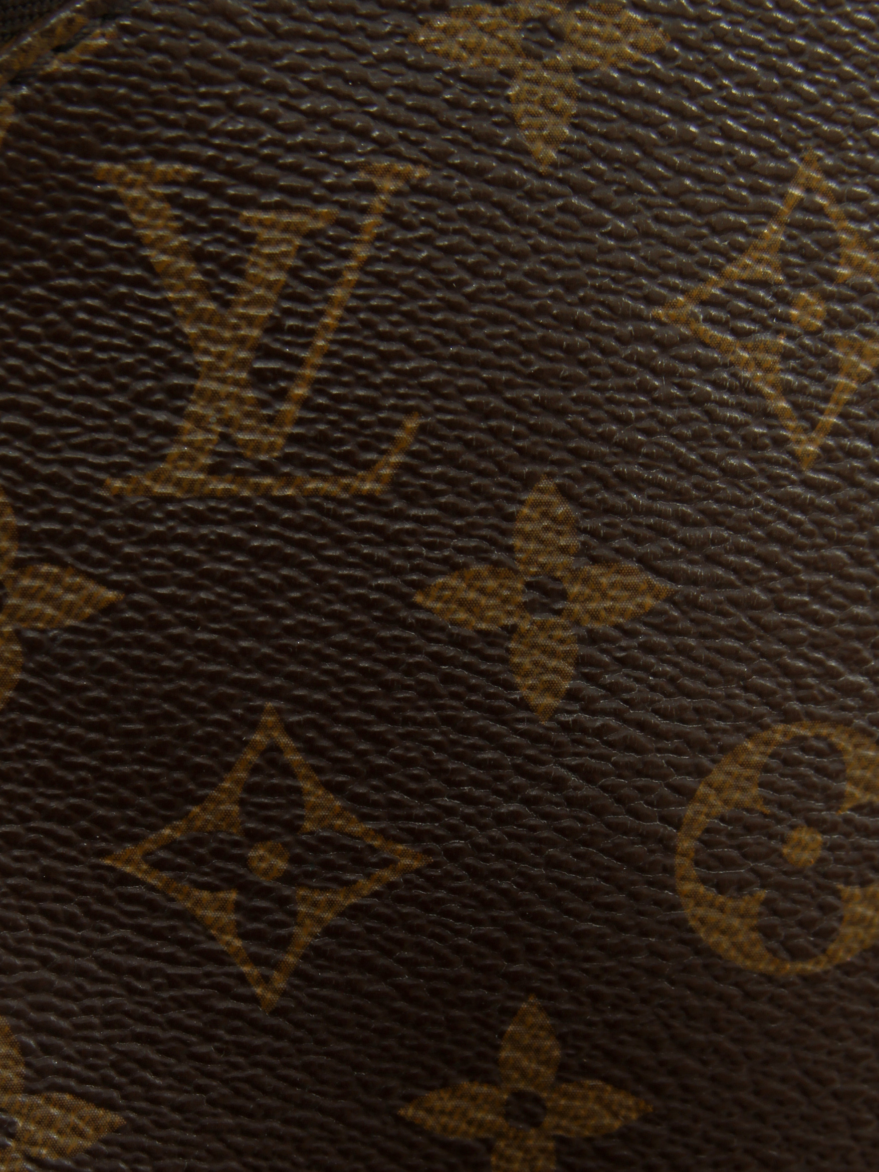 Louis Vuitton Palm Springs 7