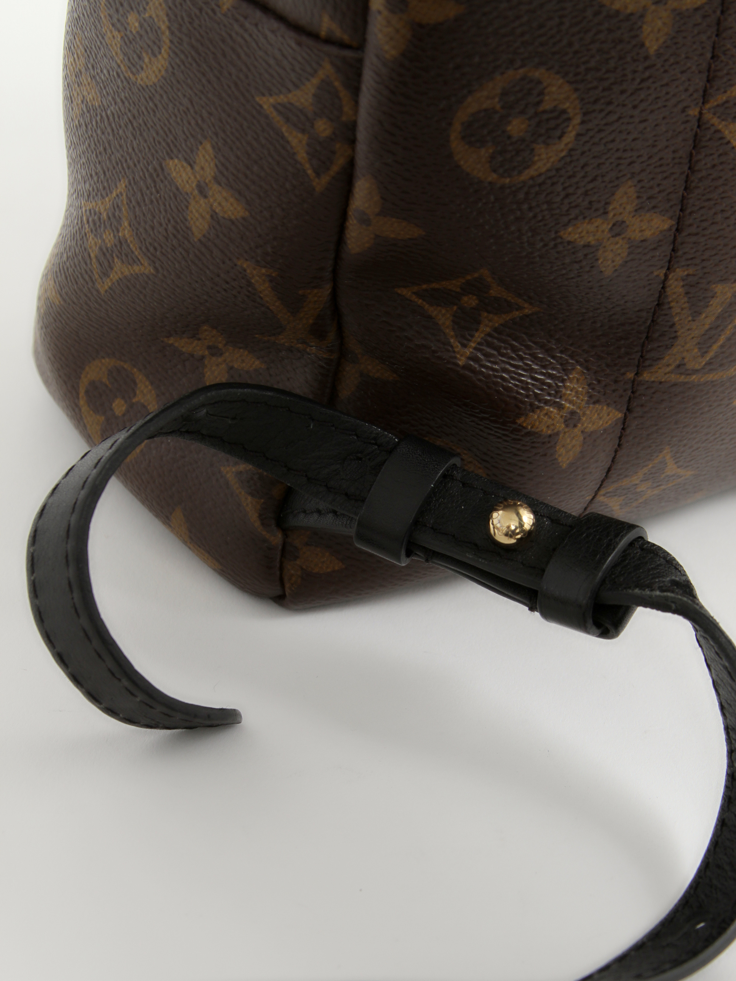 Louis Vuitton Palm Springs 8