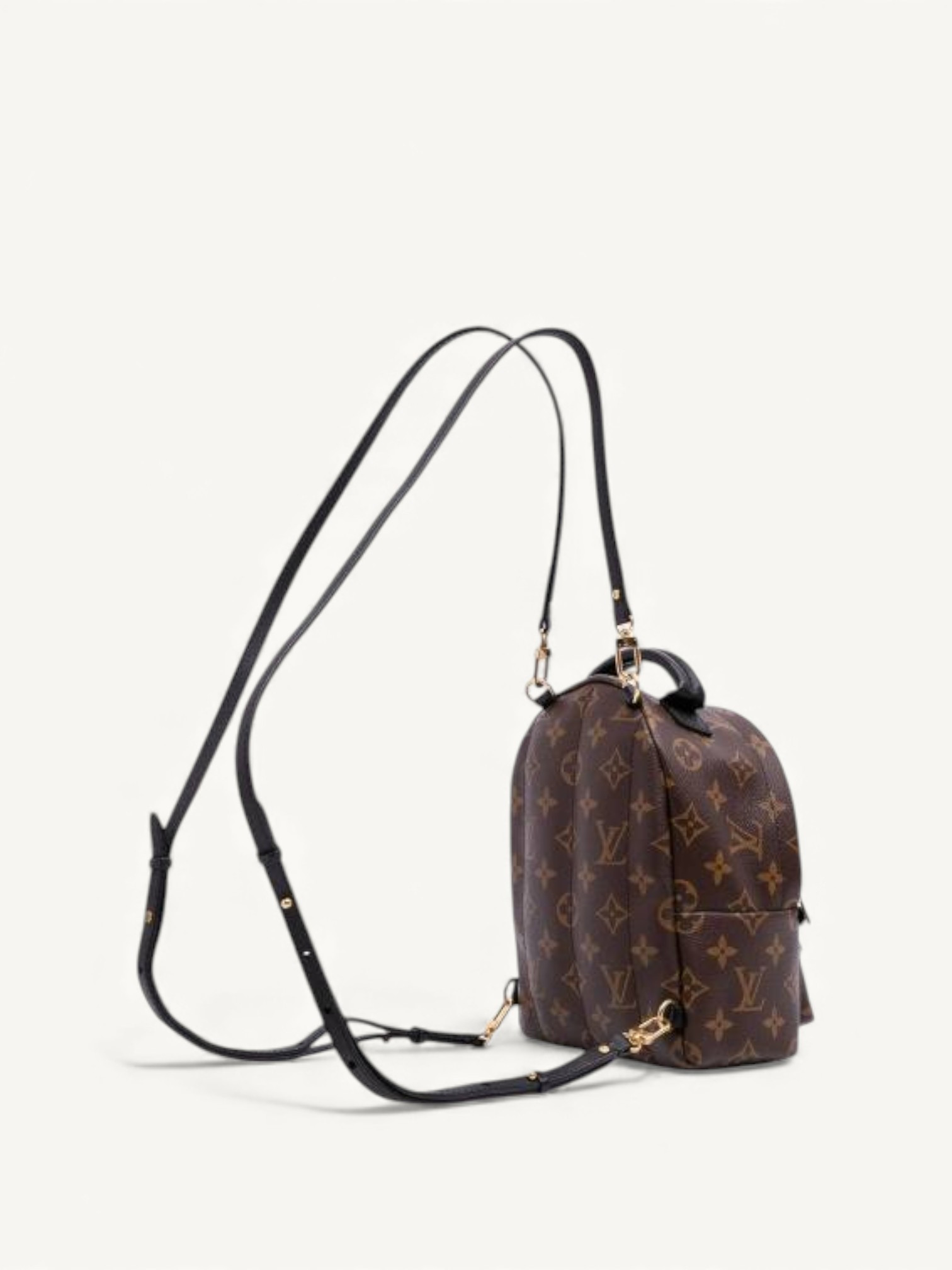 Louis Vuitton Palm Springs 3