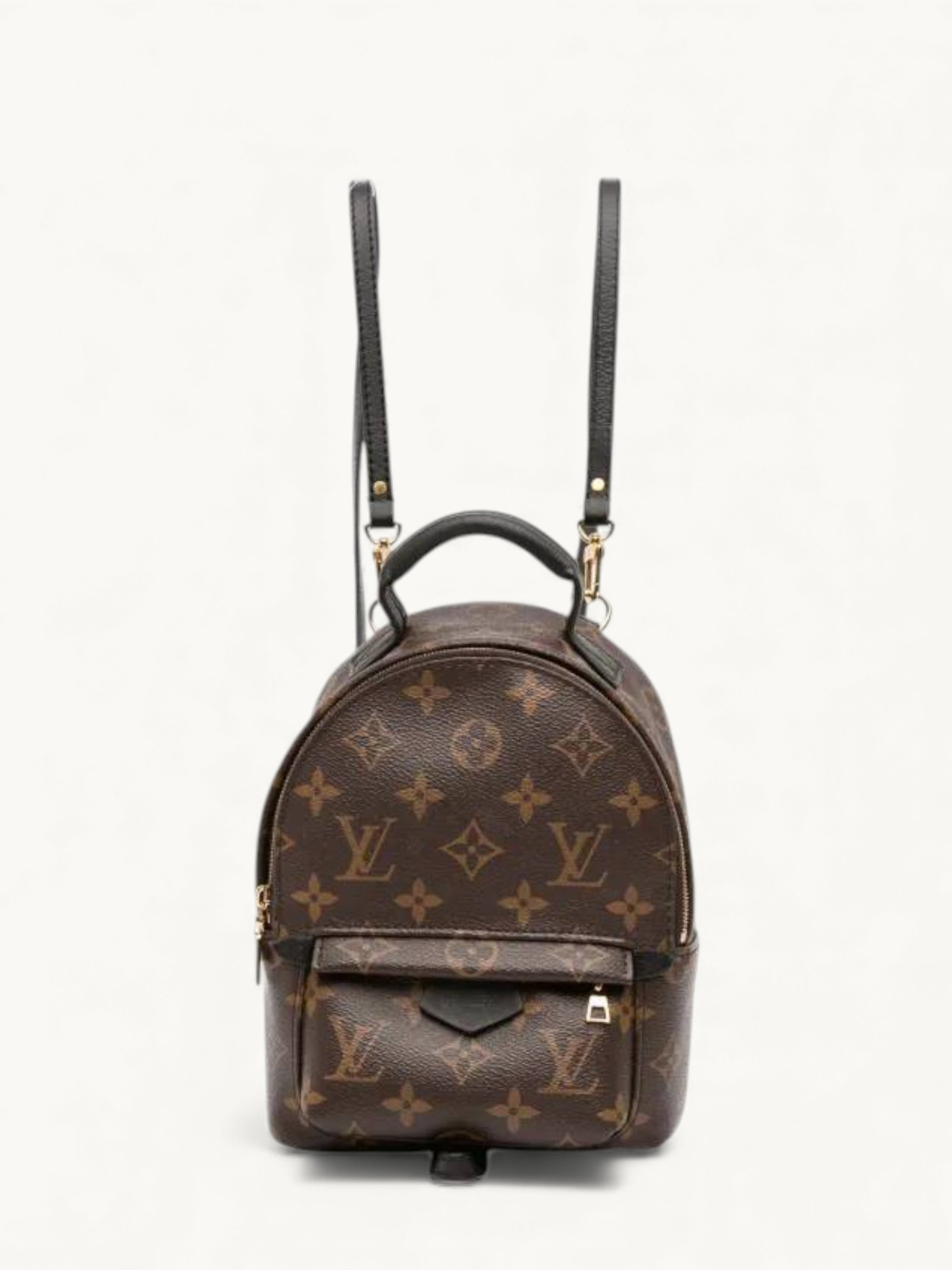 Louis Vuitton Palm Springs 1