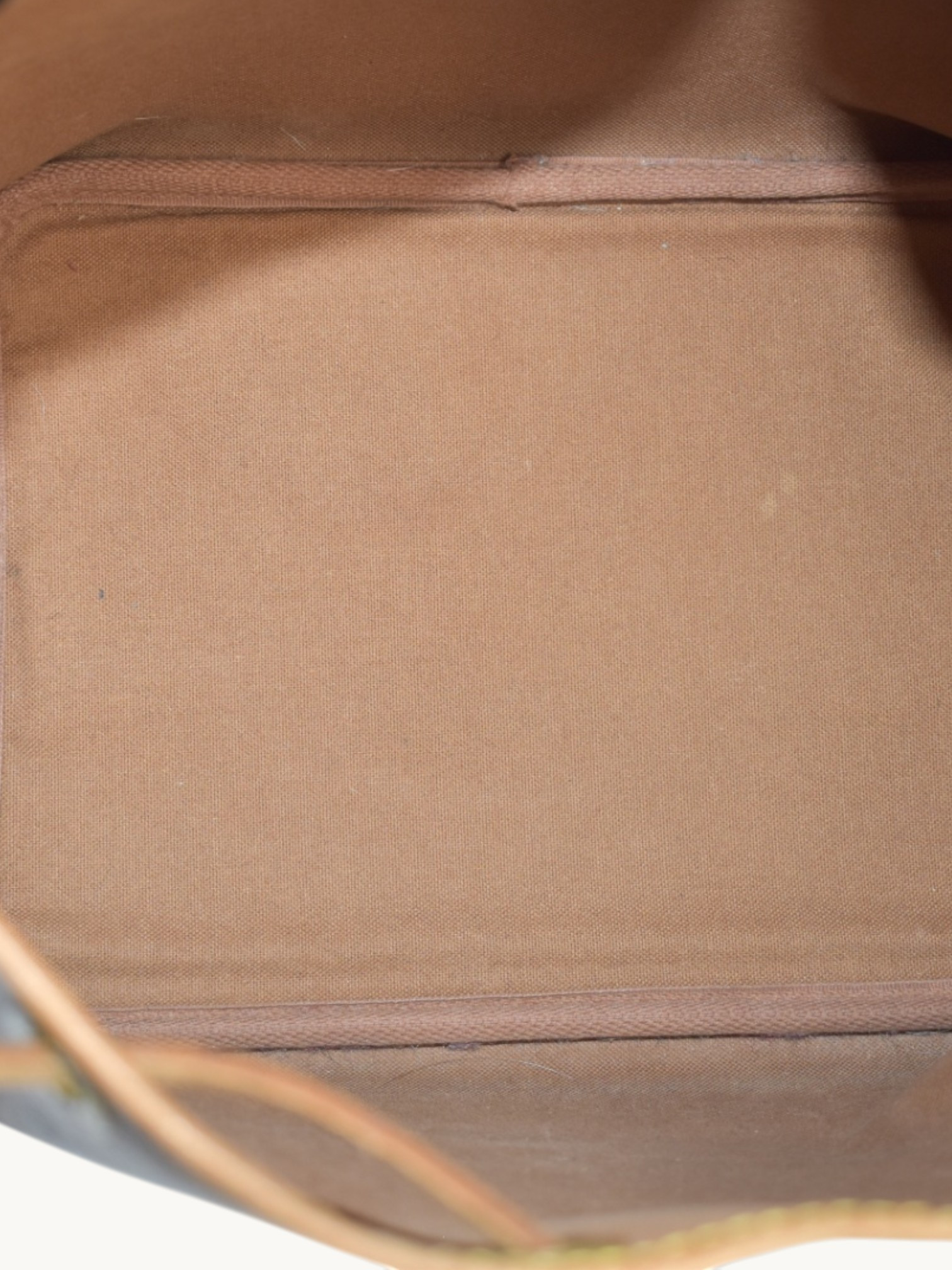 Сумки Louis Vuitton Noe изображение #7