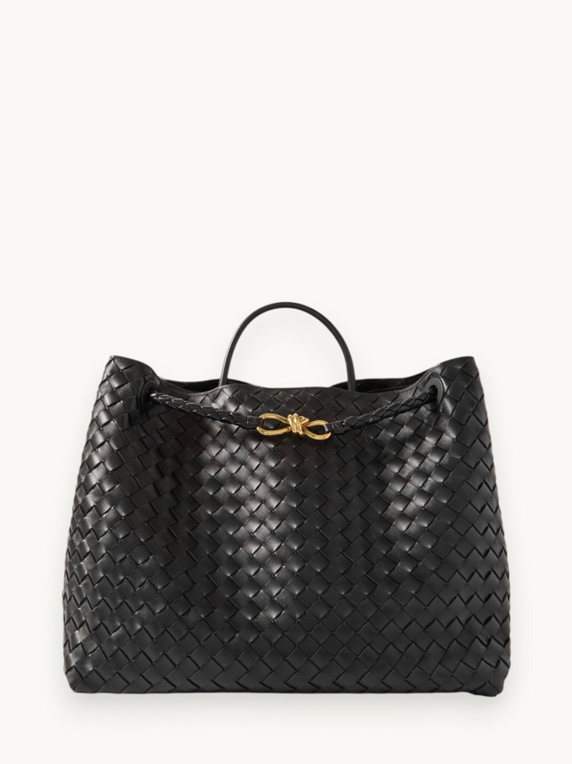Сумки Bottega Veneta Andiamo изображение #1