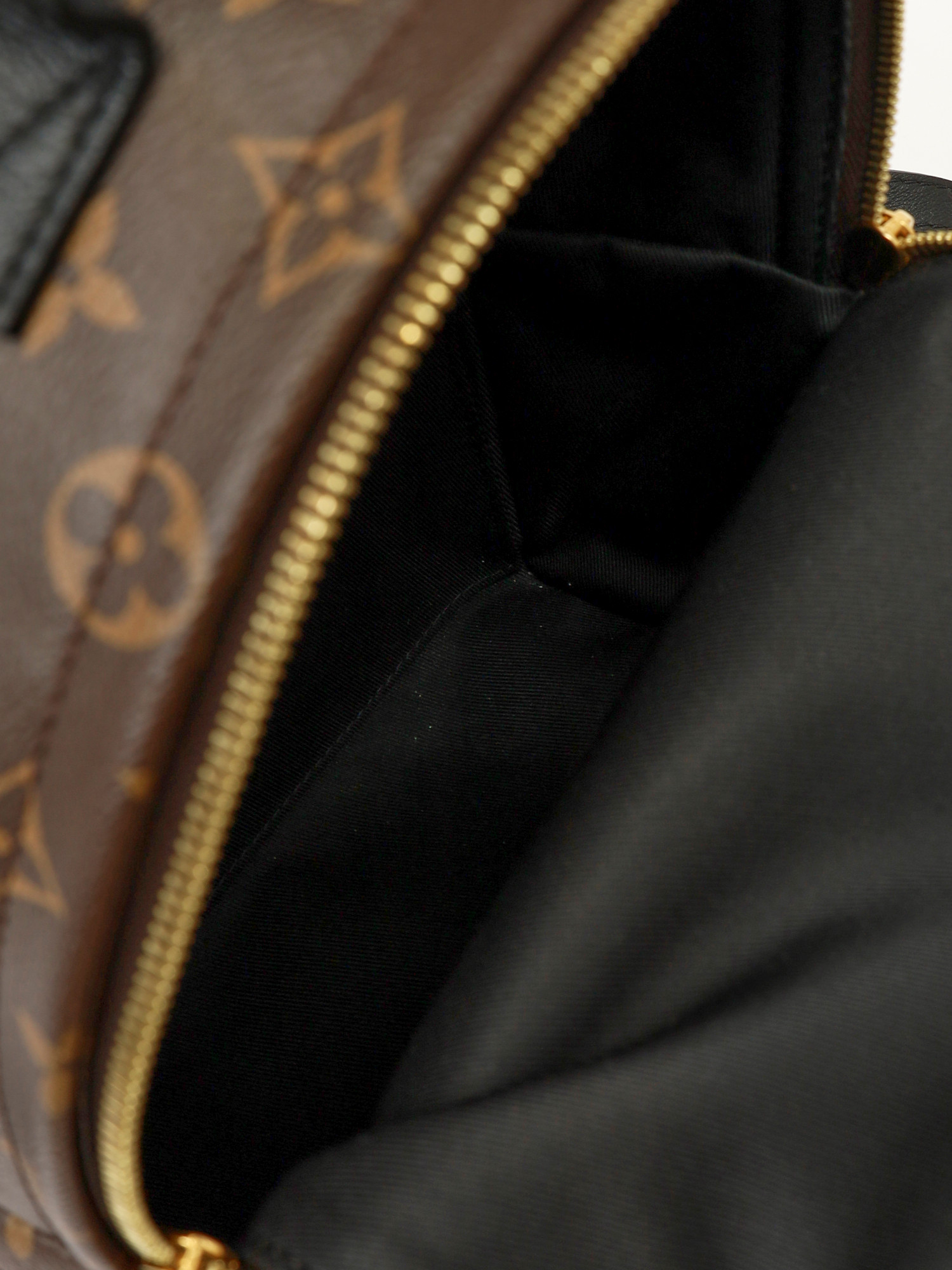 Сумки Louis Vuitton Palm Springs изображение #11